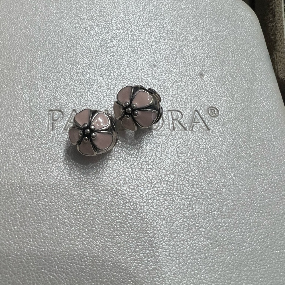 Pandora Clips - Picture 3 of 5